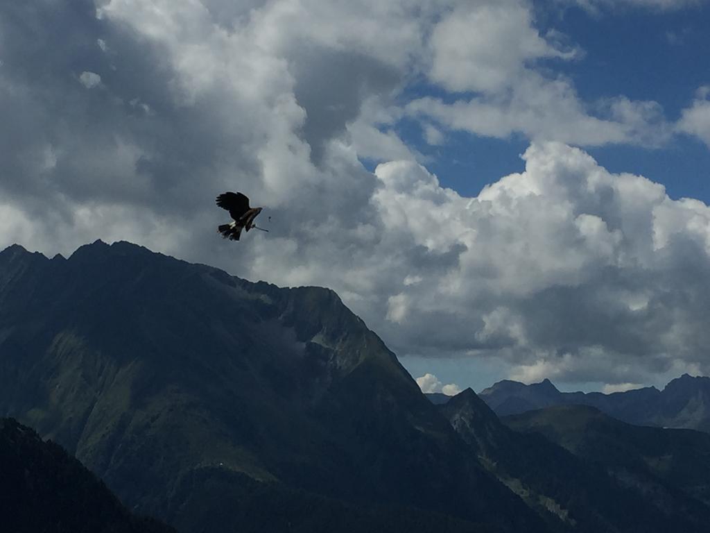 Appartement Kuen Zell am Ziller Pokój zdjęcie