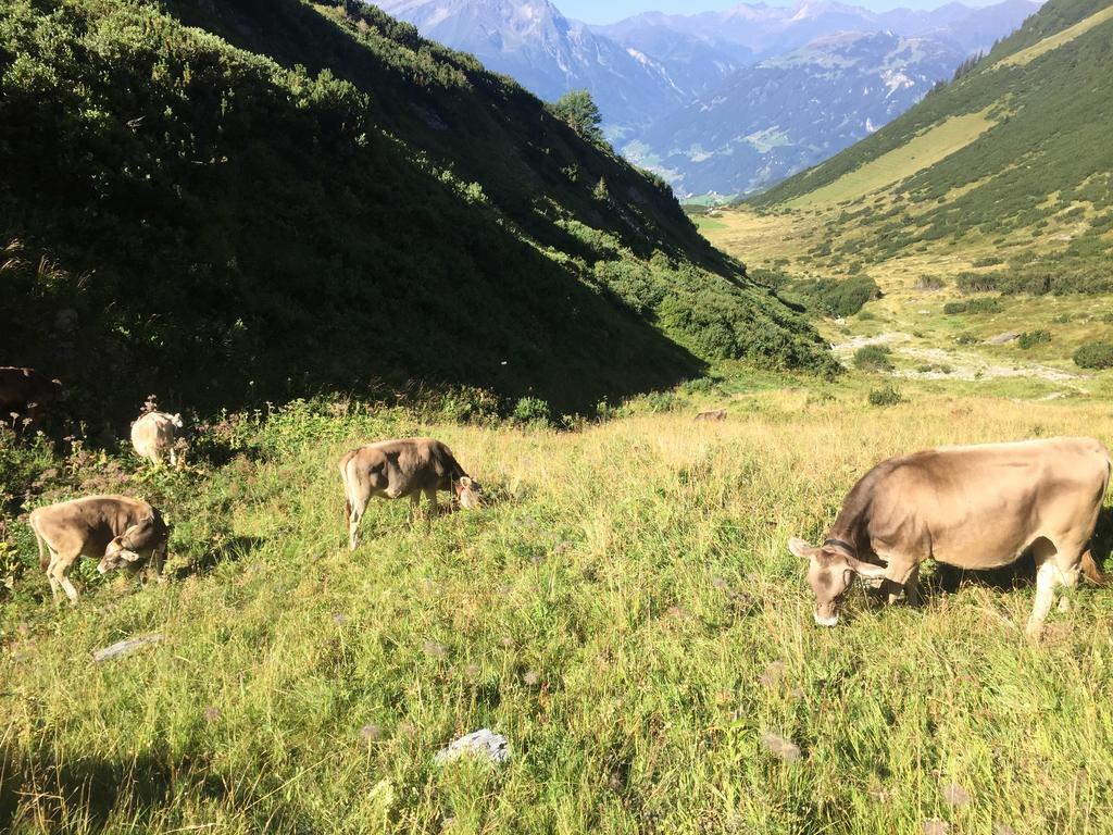 Appartement Kuen Zell am Ziller Pokój zdjęcie